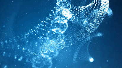 SAIBIN音箱系统中的噪音问题新解析及解决方案有哪些？