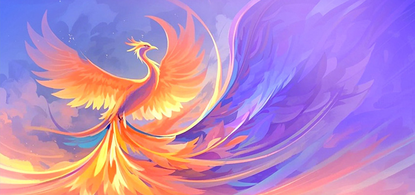 网络可编程中央控制主机：用户选型、编程、运维的5大核心疑问